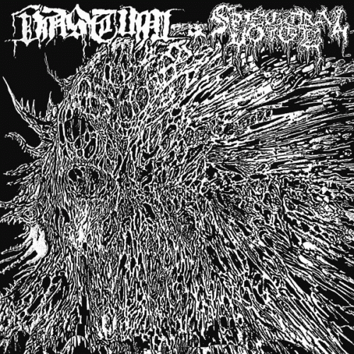 Spectral Voice : Vastum - Spectral Voice